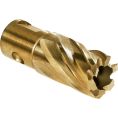 WALTER SST Core Cut Annular Cutter - 7/8-1"